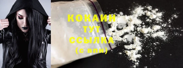 гашик Осинники