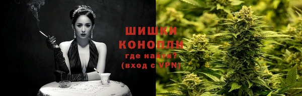 гашик Осинники