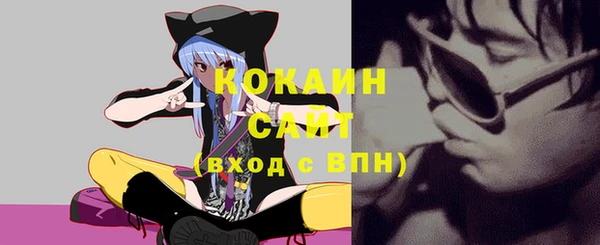 гашик Осинники