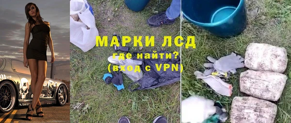 гашик Осинники