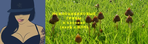 МДПВ Осташков