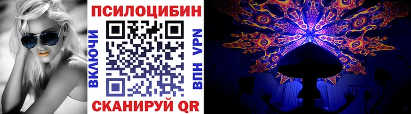 Галлюциногенные грибы Psilocybine cubensis  купить   Волгоград 