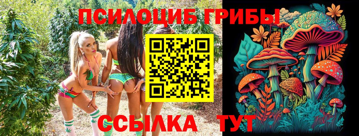Псилоцибиновые грибы MAGIC MUSHROOMS  Псилоцибиновые грибы мухоморы  Волгоград  где купить наркоту  Вход с VPN 