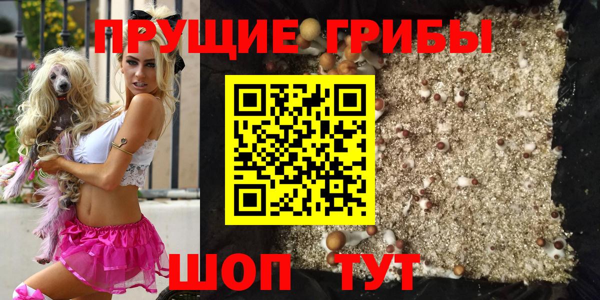 Псилоцибиновые грибы Psilocybine cubensis Волгоград