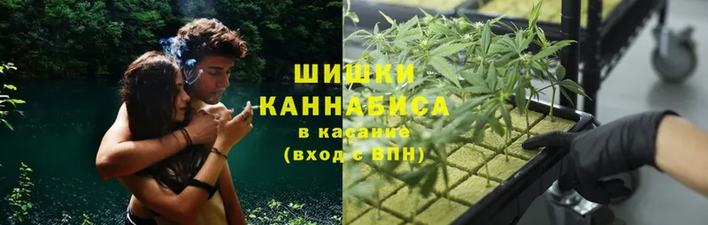 Марихуана THC 21%  blacksprut зеркало  Волгоград  сколько стоит 